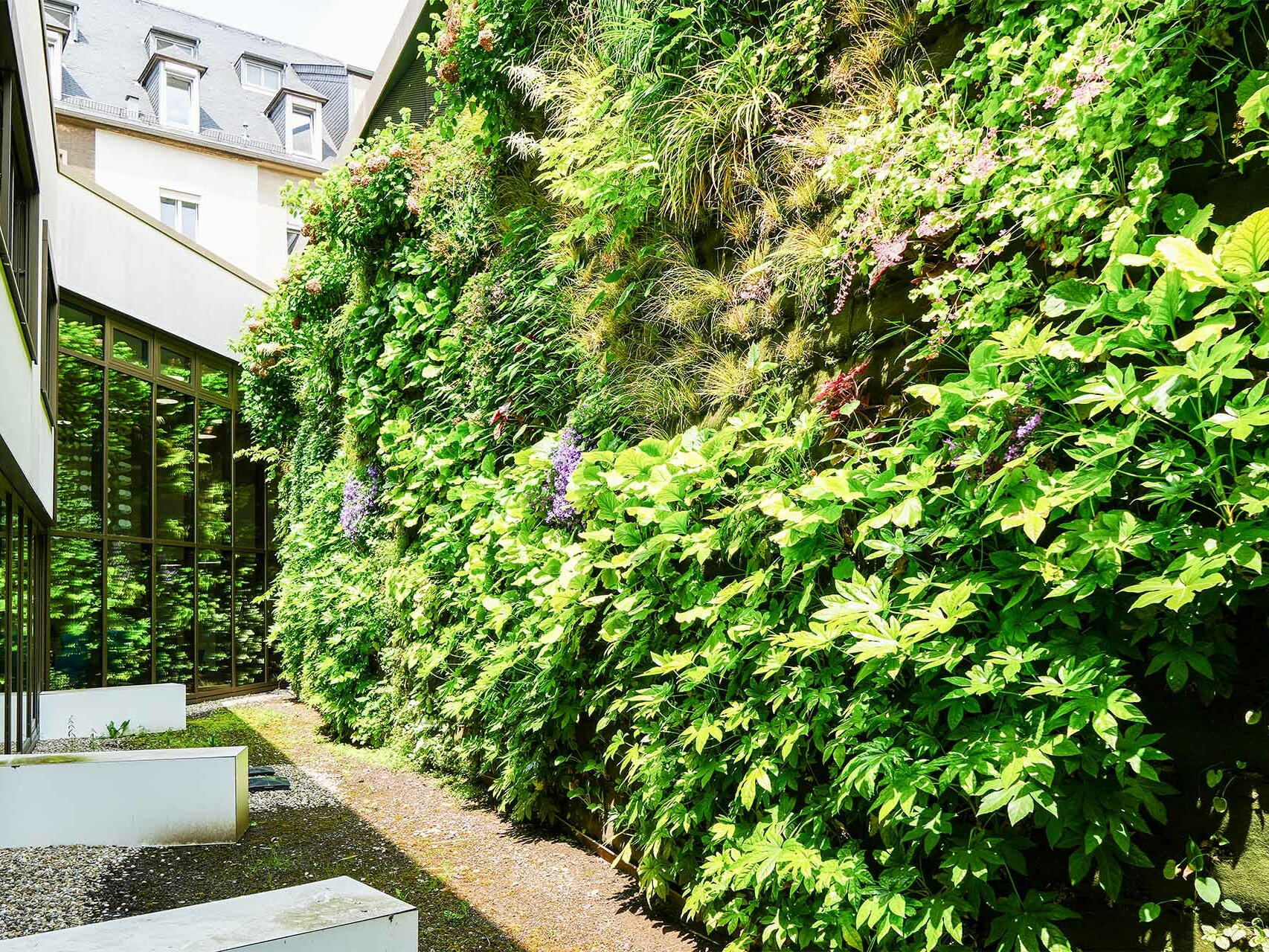 Mur végétal de la Zithaklinik