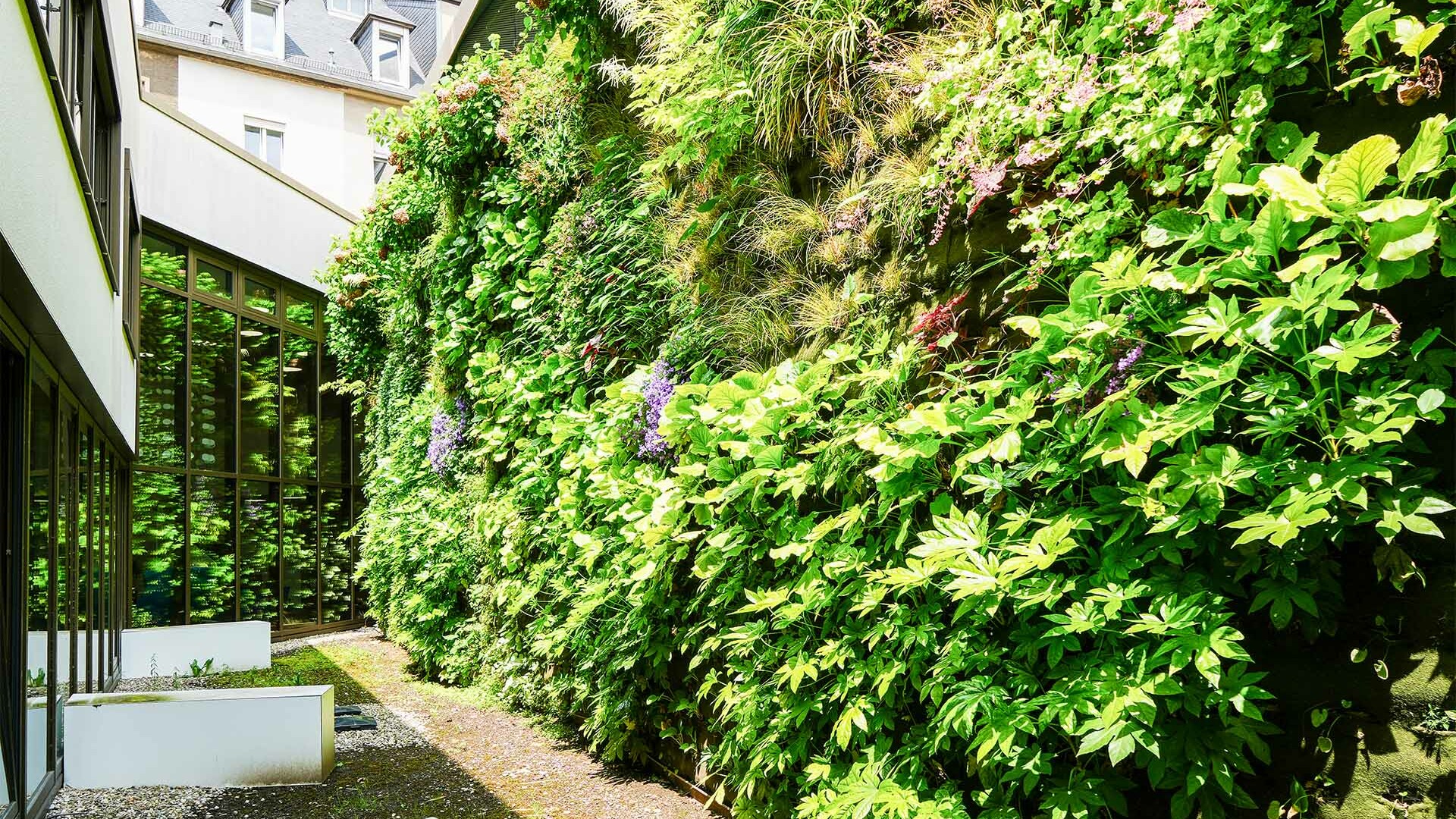 Mur végétal de la Zithaklinik