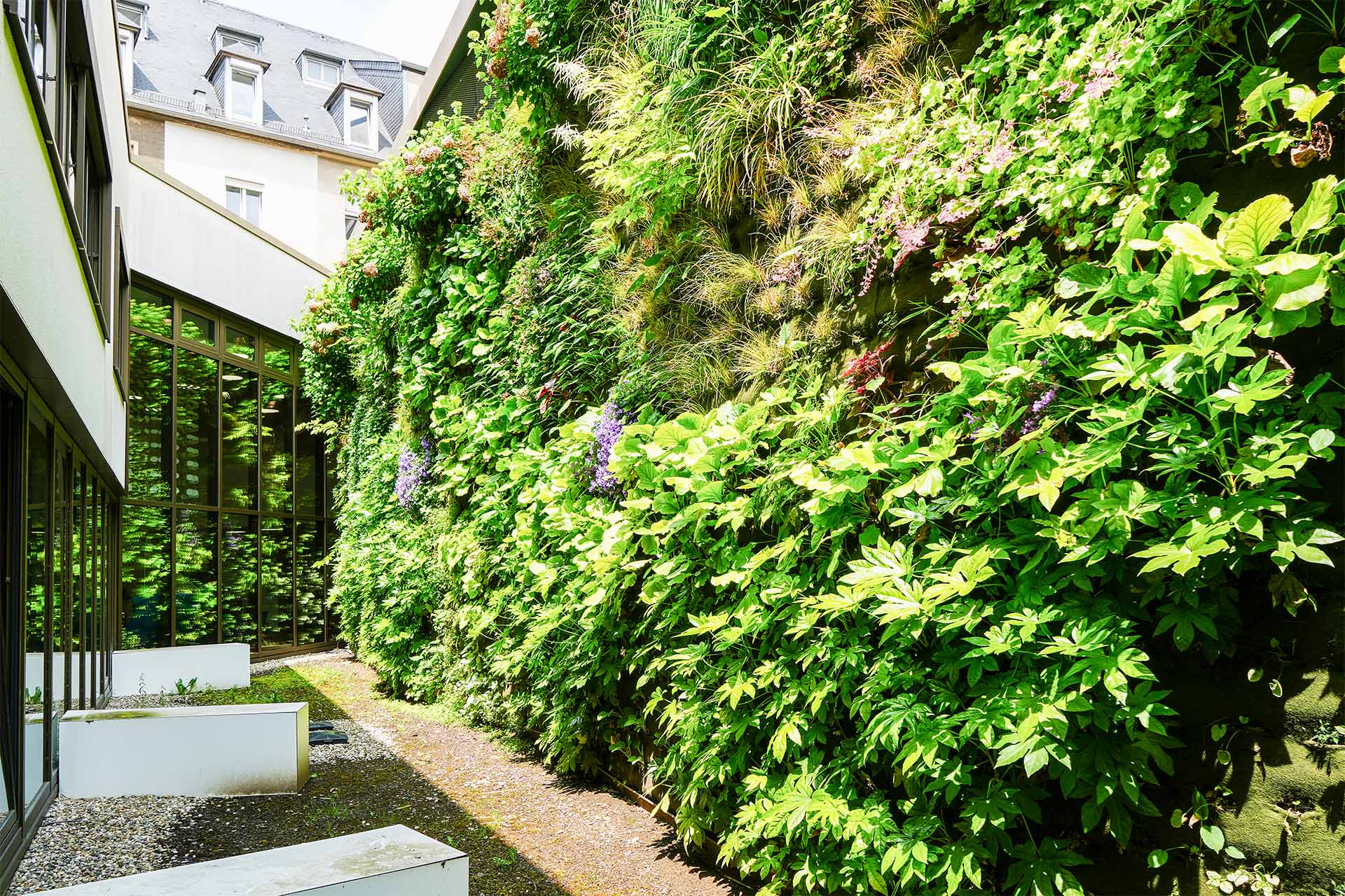 Mur végétal de la Zithaklinik